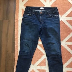 Loft Curvy Skinny Jeans